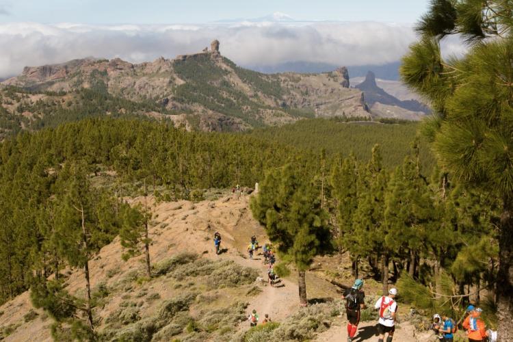 Transgrancanaria