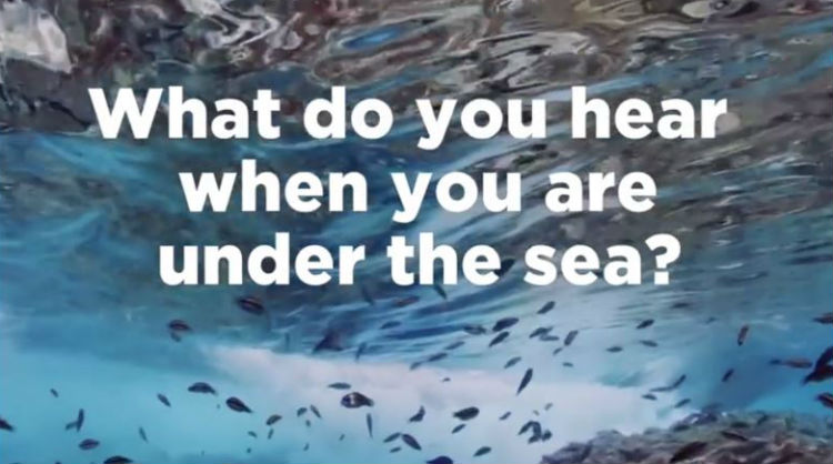 Video capture made to coincide with World Ocean Day, the Canary Islands