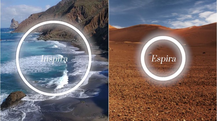 Uno de los contenidos de la comunicación permanente que Islas Canarias mantiene con sus turistas
