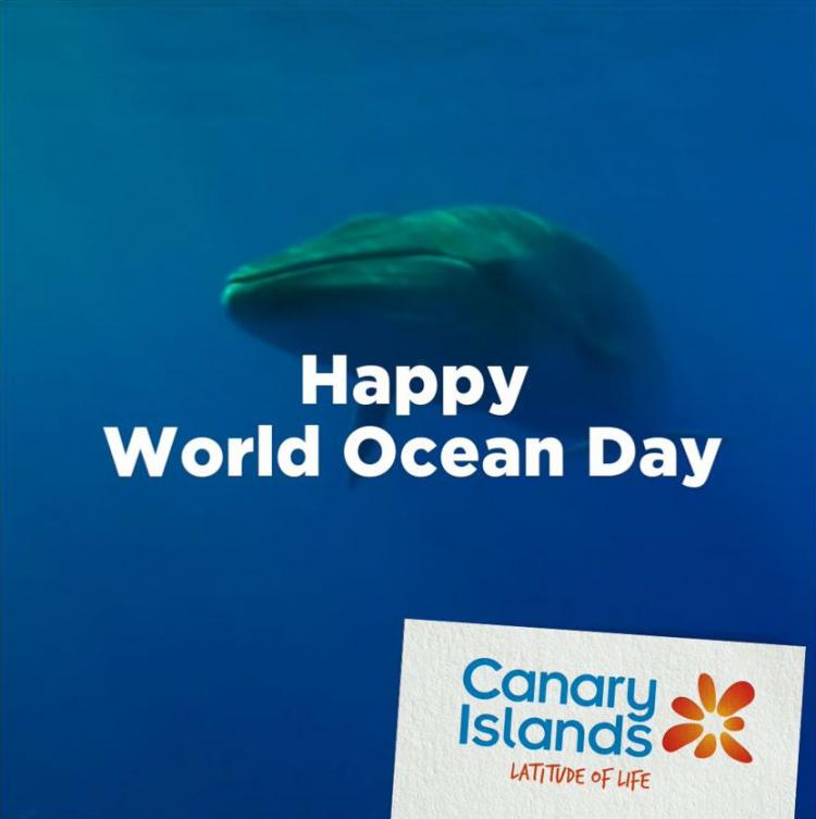 World Oceans Day, one of the dayketing campaigns carried out by Canary Islands