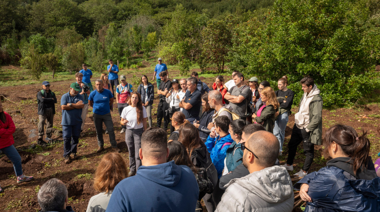 Jornada de reforestación en Gran Canaria