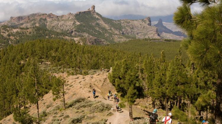 Transgrancanaria