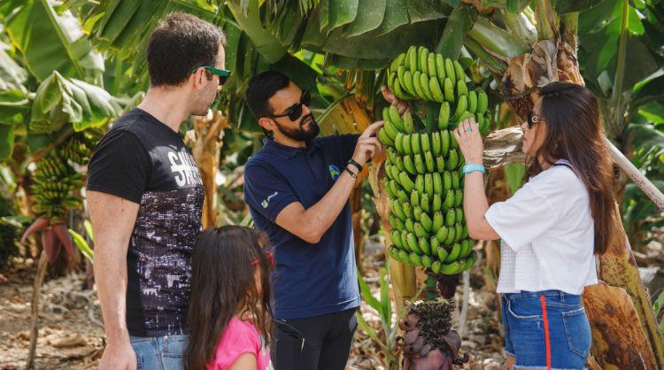 Ganadores del concurso “Saborea la vida, saborea las Islas Canarias” en una finca de plátanos
