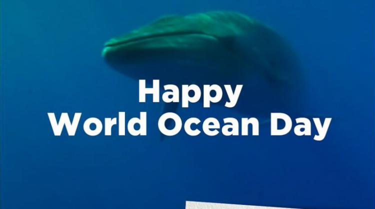 World Oceans Day, one of the dayketing campaigns carried out by Canary Islands