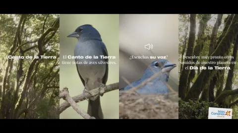 Una de las piezas de "El Canto de la Tierra", la acción de Islas Canarias para celebrar el Día de la Tierra