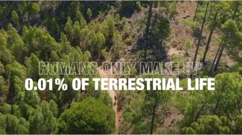 Canary Islands celebrate Earth Day by showcasing the region’s stunning landscapes