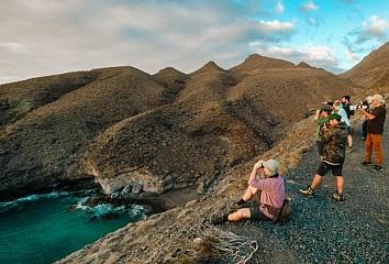 Observación de aves