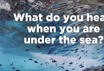 Video capture made to coincide with World Ocean Day, the Canary Islands