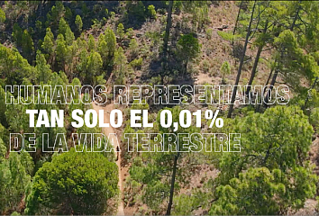 Islas Canarias celebra el Día de la Tierra mostrando los sorprendentes paisajes del archipiélago.