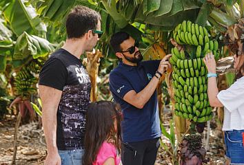 Ganadores del concurso “Saborea la vida, saborea las Islas Canarias” en una finca de plátanos