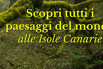 Segunda oleada de la campaña para quienes buscan explorar y conocer la identidad de las Islas Canarias.