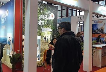 Imagen de la edición 2019 de la Feria de Nápoles.