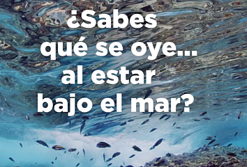 Captura de pantalla del vídeo realizado con motivo del Día Mundial de los Océanos, Islas Canarias