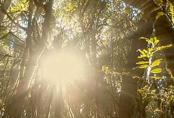 Vídeo “Hay ocasiones en las que sobran las palabras... #IslasCanarias”