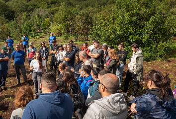 Jornada de reforestación en Gran Canaria