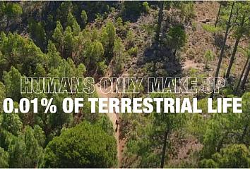 Canary Islands celebrate Earth Day by showcasing the region’s stunning landscapes