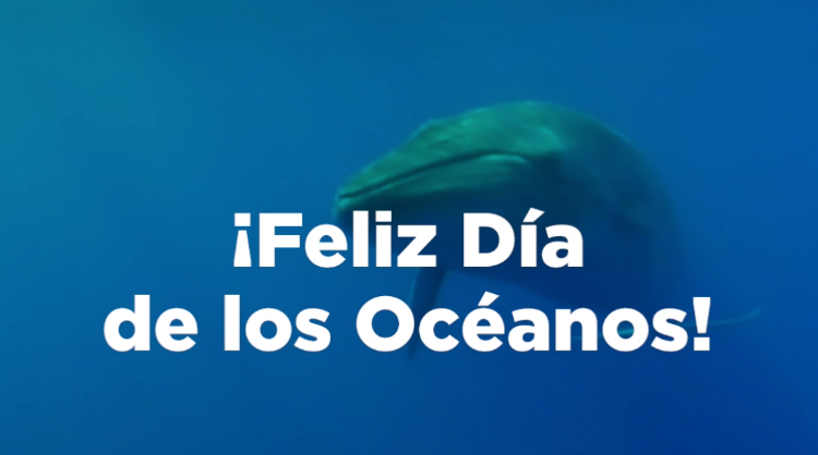 Captura de pantalla del vídeo realizado con motivo del Día Mundial de los Océanos, Islas Canarias